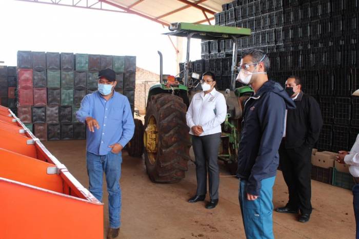 BUSCAN DISMINUIR LOS RIESGOS DE CONTAGIO EN ACTIVIDADES AGRICOLAS