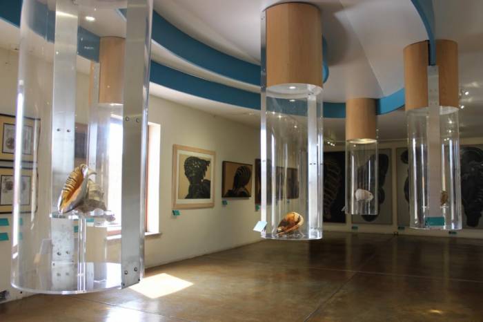 Analizan apertura paulatina de los museos de Zacatecas