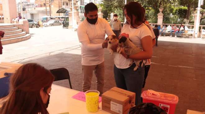 Inicia jornada de vacunación antirrábica en Calera