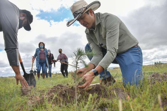 Inicia Julio Csar Chvez la reforestacin en el Parque Constituyentes