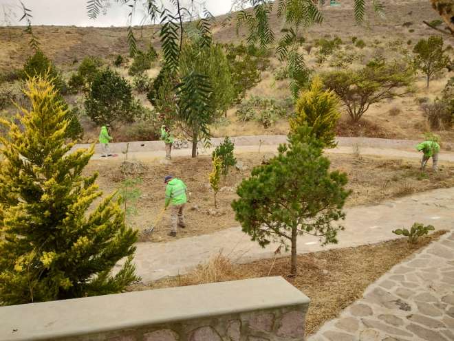 Contina Gobierno de Zacatecas con mantenimiento de camellones y reas verdes en la capital