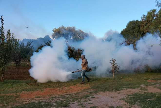 Exhorta Secretar�a de Salud a descacharrizar para prevenir el Dengue